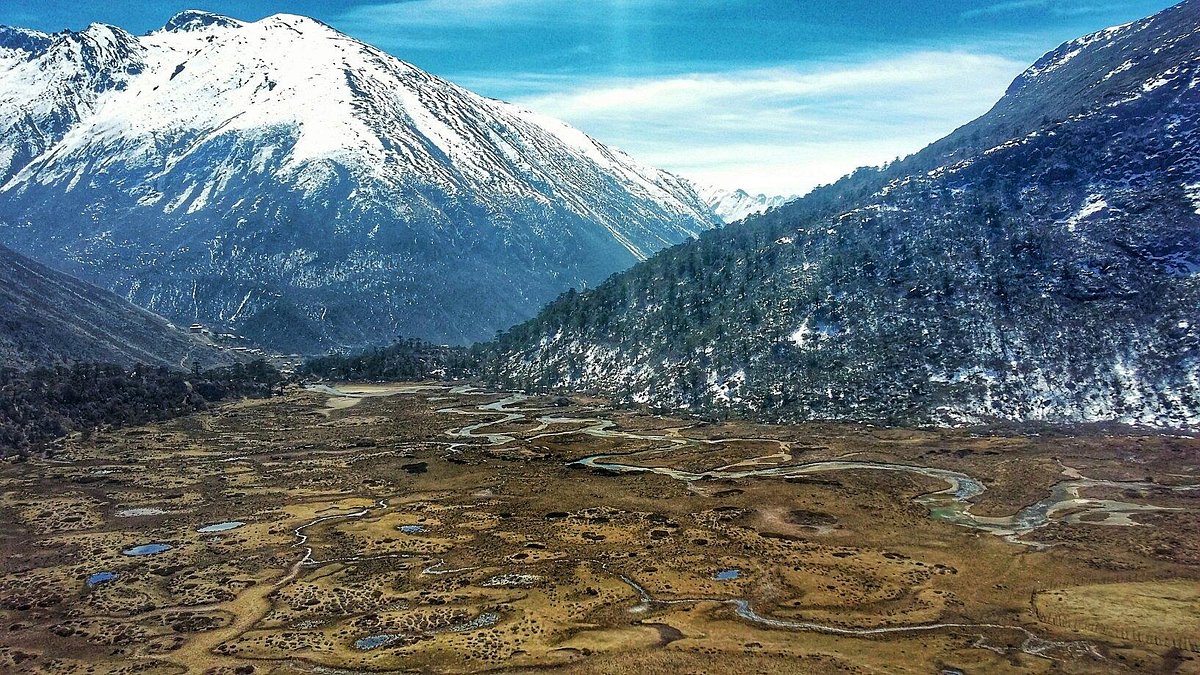 Chopta Valley meadows with yaks grazing